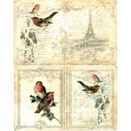 1 papier de riz Les oiseaux - R184