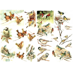 1 papier de riz Les Oiseaux - R599