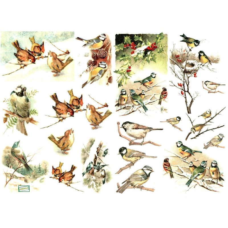 1papier de riz Oiseaux -R599