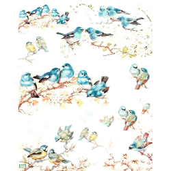 1papier de riz Oiseaux -R654