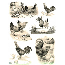 1 papier de riz Les Poules - R667