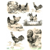 1 papier de riz Les Poules - R667