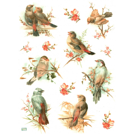 1papier de riz Oiseaux -R1069