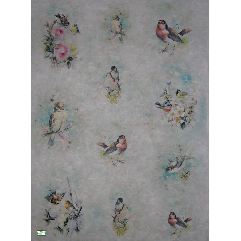 1GRAND papier riz Oiseaux-R516L