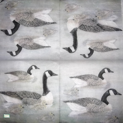 1 GRAND papier de riz Les Canards - STA10