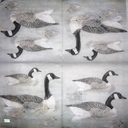 1GRAND papier riz Les Canards-STA10