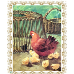 1 GRAND papier de riz Les Poules - ZAN253G