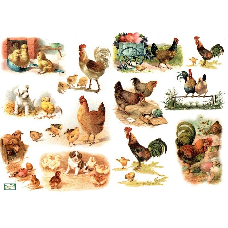 1  papier de découpage  Les Poules - D465