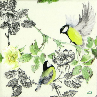 1 serviette papier Oiseaux - 18