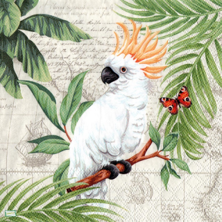 1 serviette papier Le perroquet -159