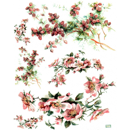 1 papier de riz Les Fleurs - R964