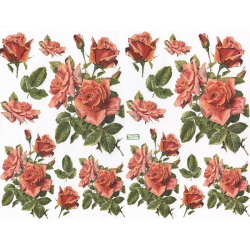 papier découpage Roses-D443M