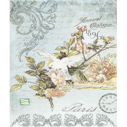 papier découpage Perroquet-S500