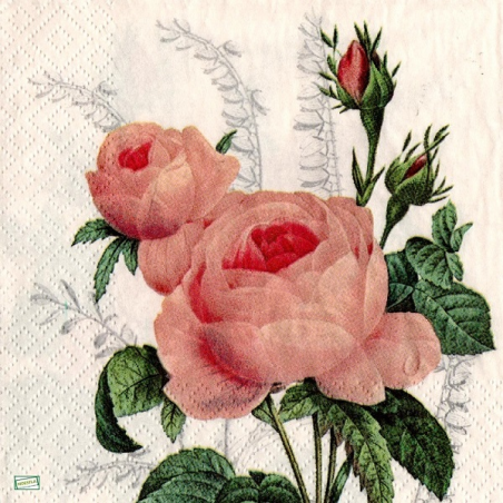 1serviette papier Les Roses-56