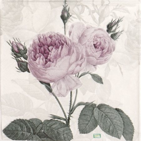 serviette papier Les Roses-101