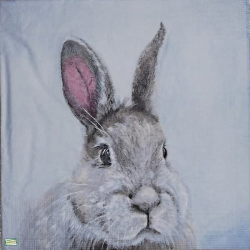 1serviette papier Le Lapin-2