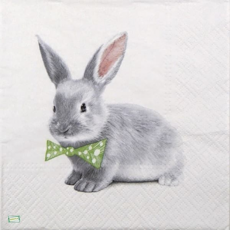 1serviette papier Le Lapin-39