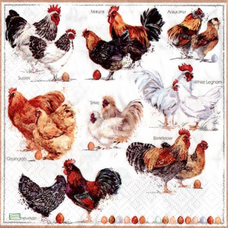 1serviette papier Poulets-5