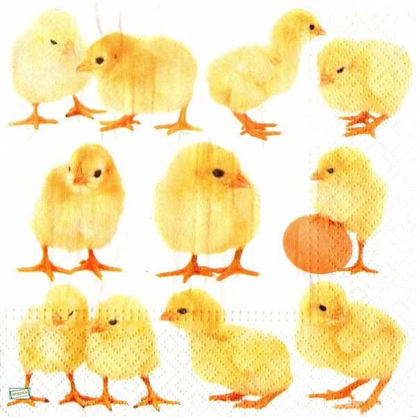 1serviette papier Poussins-19