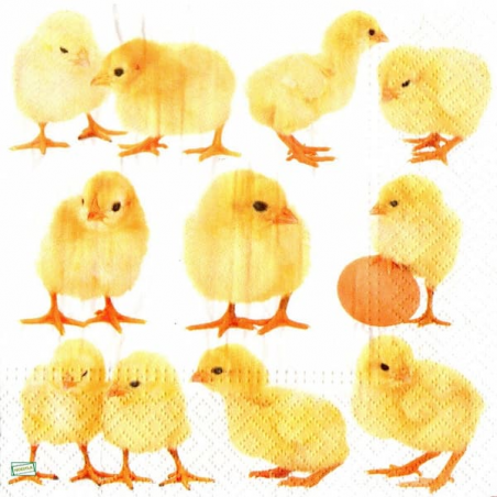 1serviette papier Poussins-19