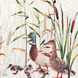 1serviette papier Canards-21