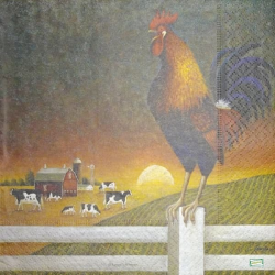 1 serviette Le Coq -25