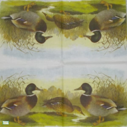 1 serviette Les Canards -102