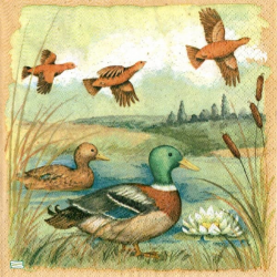 1serviette papier Canards-107