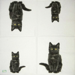 1serviette papier Chats-9