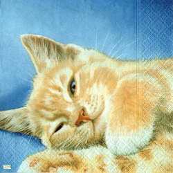 1 serviette papier Le chat - 18