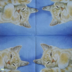 1serviette papier Chat-18