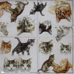 1 serviette Les chats - 41