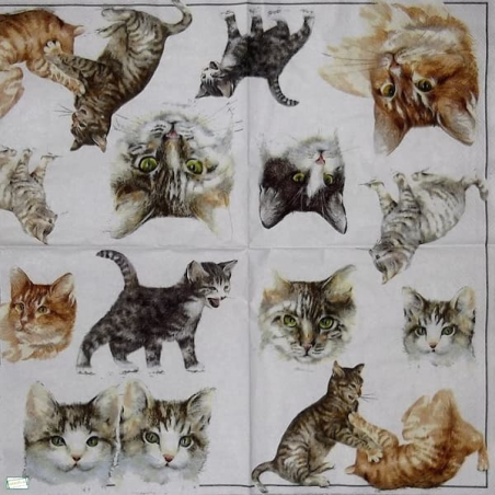 1 serviette papier Les chats - 41