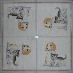 1 serviette Chat Chien -116