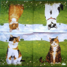 1serviette papier Chats-117