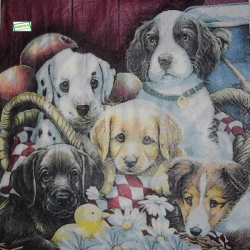 1serviette papier Chiens-34