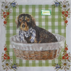 1serviette papier Chien-60