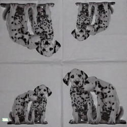 1serviette papier Chiens-64