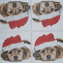 1serviette papier Chiot-68