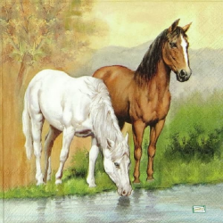 1 serviette Les chevaux -3