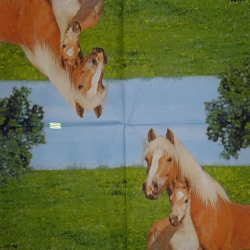 1 serviette papier Les chevaux - 5
