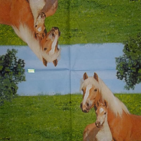 1serviette papier Chevaux-5