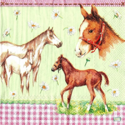 1serviette papier Chevaux-9