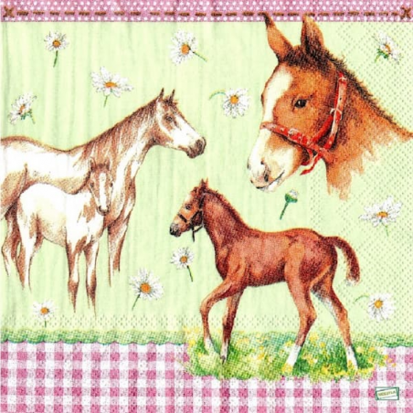 1 serviette Les chevaux -9