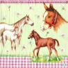 1serviette papier Chevaux-9