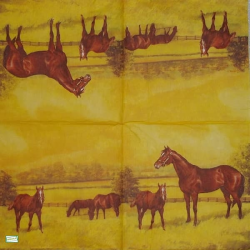 1 serviette papier Les chevaux - 15