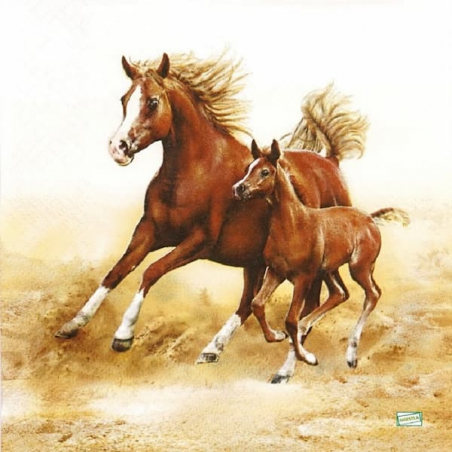 1 serviette Les chevaux -20