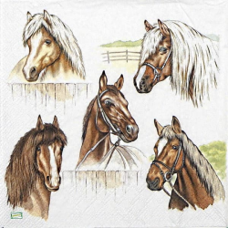 1serviette papier Chevaux-38