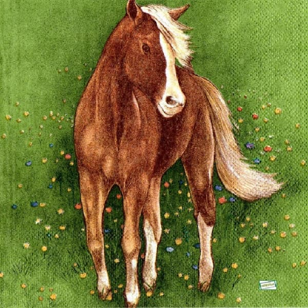 1serviette papier Chevaux-32