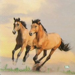 1serviette papier Chevaux-34